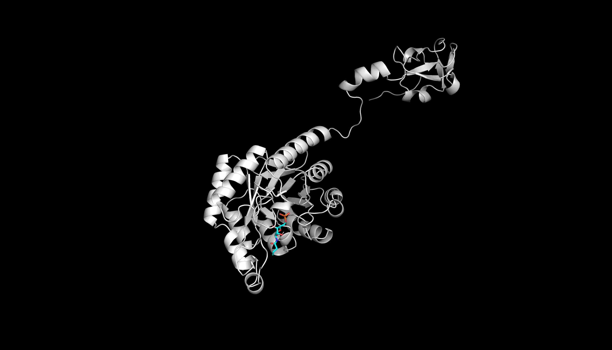 Scientific Animation